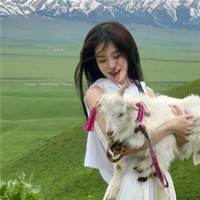 阿卡普高第四季