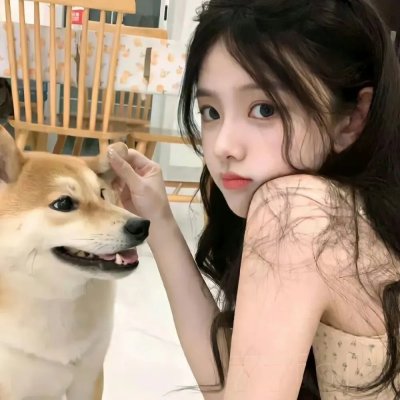 笨鸟满天飞